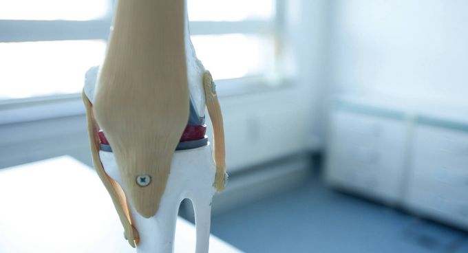 Modell eines Gelenks