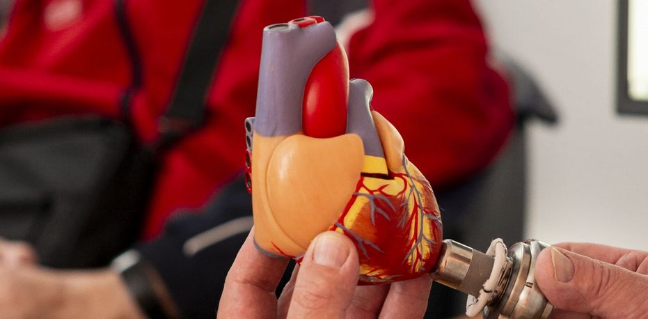 Innere Medizin und Kardiologie